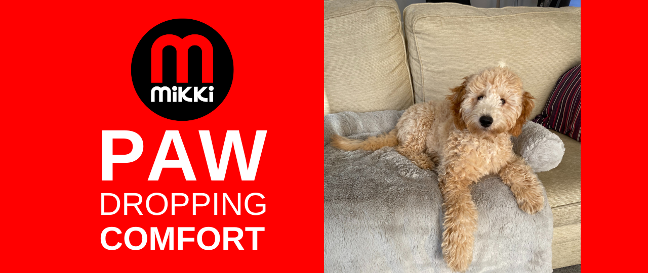 mikki dog brush