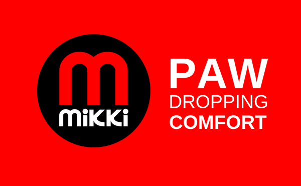 Paw Dropping Comfort