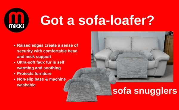 Sofa-Kuschler