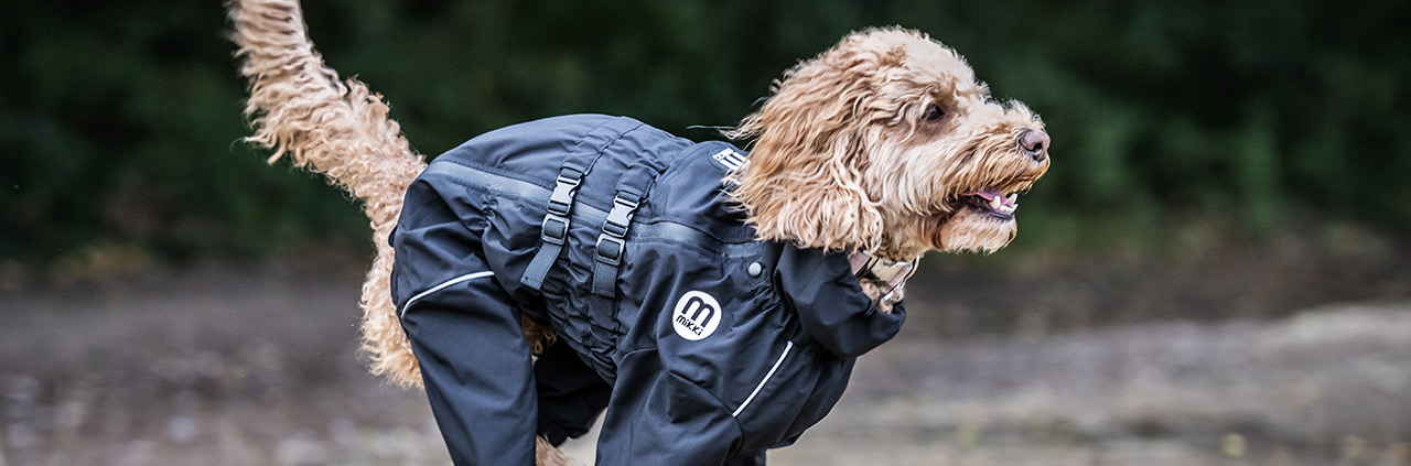 Doodles Running in Waterproof Coat