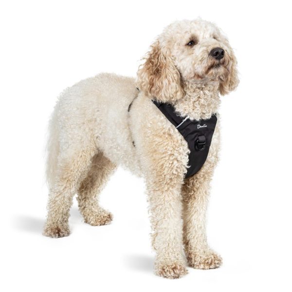 Doodles Harness - S