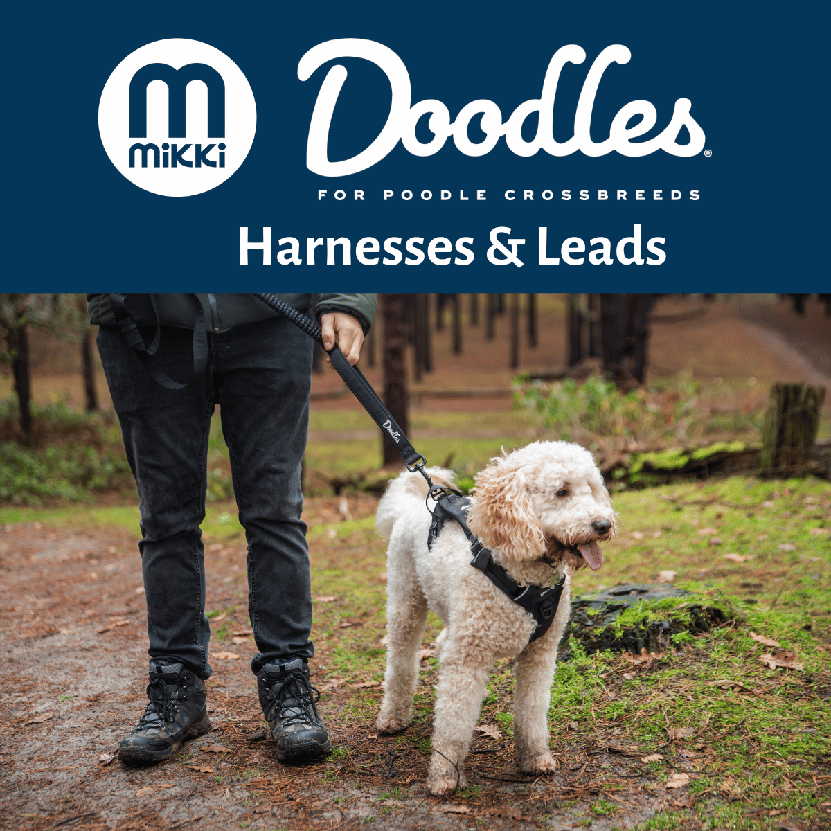 Mikki Doodles Leads & Harnesses